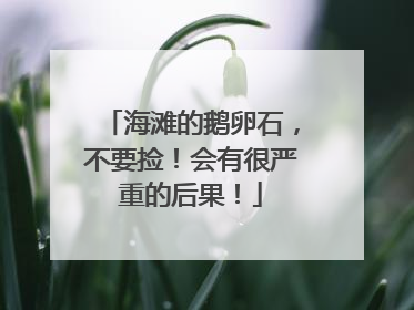 海滩的鹅卵石，不要捡！会有很严重的后果！