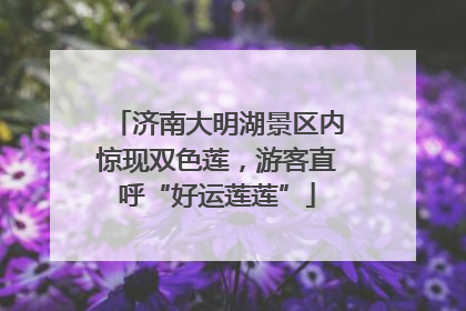 济南大明湖景区内惊现双色莲，游客直呼“好运莲莲”