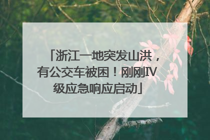 浙江一地突发山洪，有公交车被困！刚刚Ⅳ级应急响应启动