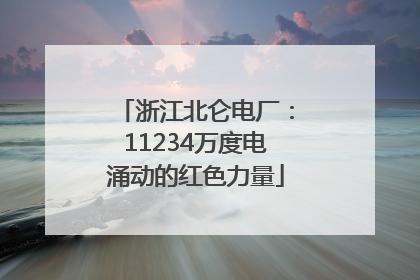 浙江北仑电厂：11234万度电涌动的红色力量