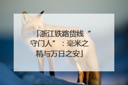 浙江铁路货线“守门人”：毫米之精与万日之安