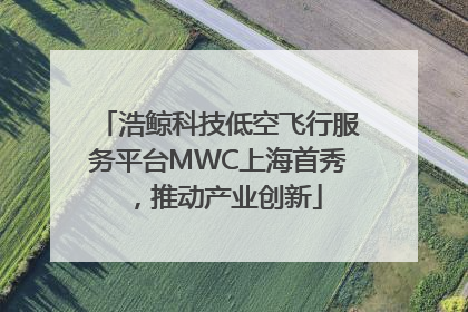 浩鲸科技低空飞行服务平台MWC上海首秀，推动产业创新