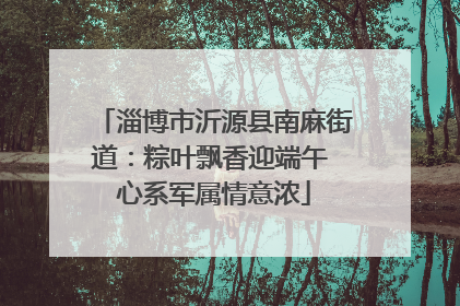 淄博市沂源县南麻街道：粽叶飘香迎端午 心系军属情意浓