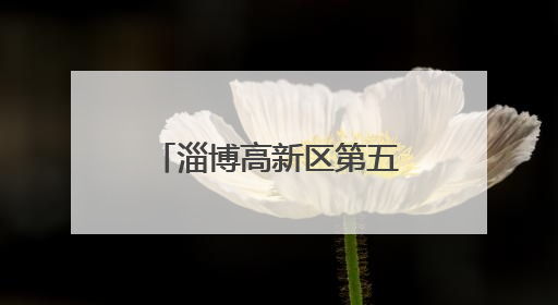 淄博高新区第五小学举行 “牢记党的教导 争做强国少年”2024级分批入队仪式