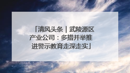 清风头条｜武陵源区产业公司：多措并举推进警示教育走深走实