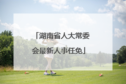湖南省人大常委会最新人事任免