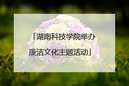 湖南科技学院举办廉洁文化主题活动