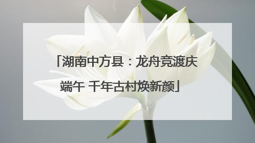 湖南中方县：龙舟竞渡庆端午 千年古村焕新颜