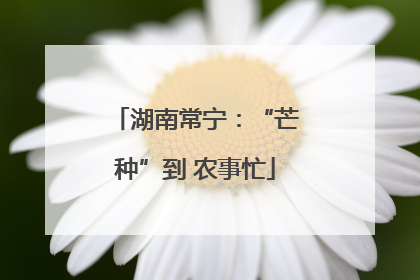 湖南常宁：“芒种”到 农事忙