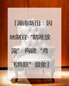 湖南新田：因地制宜“精准放流” 构建“鸢飞鱼跃”景象