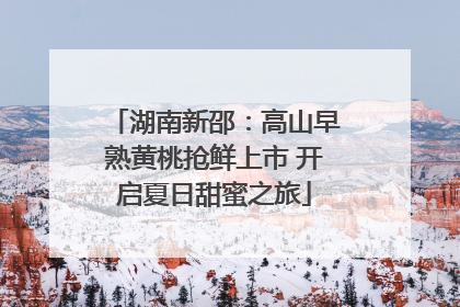 湖南新邵：高山早熟黄桃抢鲜上市 开启夏日甜蜜之旅