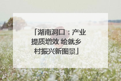 湖南洞口：产业提质增效 绘就乡村振兴新图景
