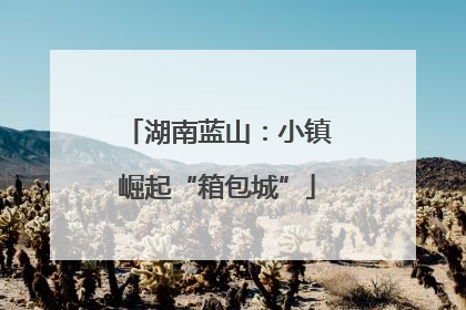 湖南蓝山：小镇崛起“箱包城”