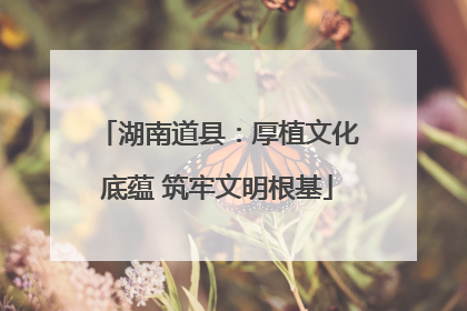 湖南道县：厚植文化底蕴 筑牢文明根基