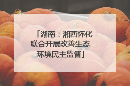湖南：湘西怀化联合开展改善生态环境民主监督