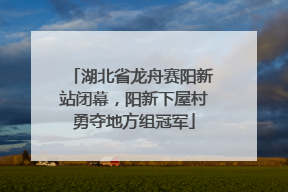 湖北省龙舟赛阳新站闭幕,阳新下屋村勇夺地方组冠军