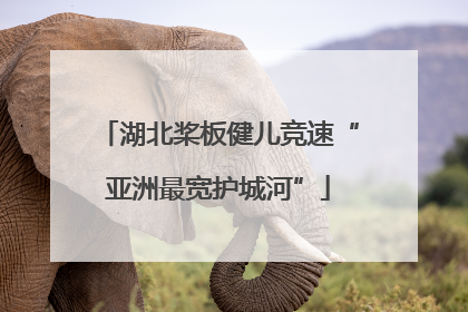 湖北桨板健儿竞速“亚洲最宽护城河”