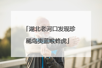 湖北老河口发现珍稀鸟类蓝喉蜂虎