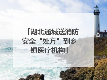 湖北通城送消防安全“处方”到乡镇医疗机构