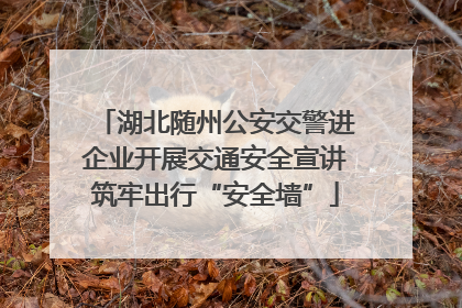 湖北随州公安交警进企业开展交通安全宣讲筑牢出行“安全墙”