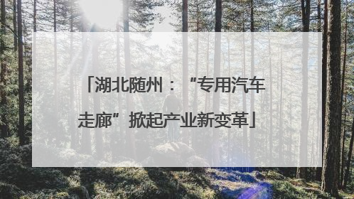 湖北随州：“专用汽车走廊”掀起产业新变革