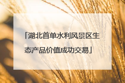 湖北首单水利风景区生态产品价值成功交易