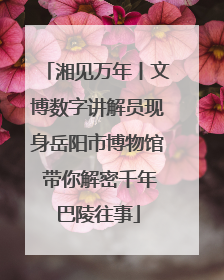 湘见万年丨文博数字讲解员现身岳阳市博物馆 带你解密千年巴陵往事