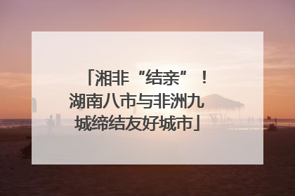 湘非“结亲”！湖南八市与非洲九城缔结友好城市