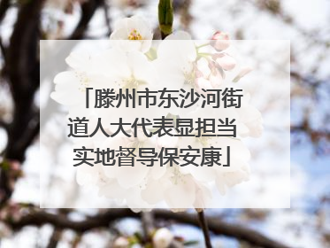 滕州市东沙河街道人大代表显担当实地督导保安康