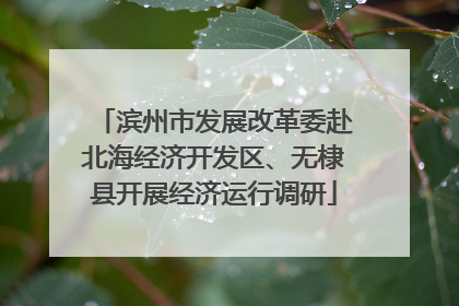 滨州市发展改革委赴北海经济开发区、无棣县开展经济运行调研