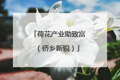 荷花产业助致富（侨乡新貌）
