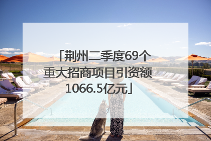 荆州二季度69个重大招商项目引资额1066.5亿元