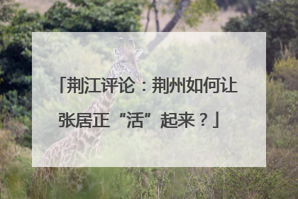 荆江评论：荆州如何让张居正“活”起来？