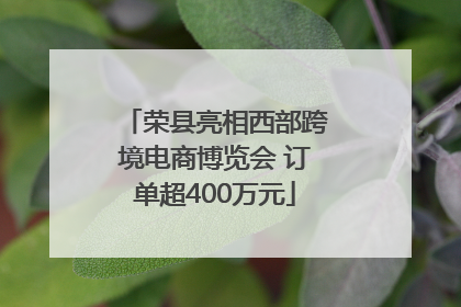 荣县亮相西部跨境电商博览会 订单超400万元