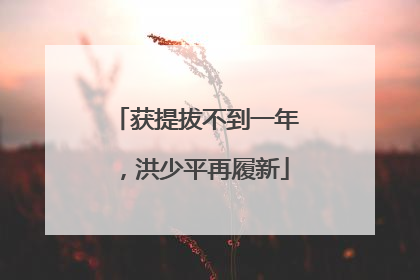 获提拔不到一年，洪少平再履新