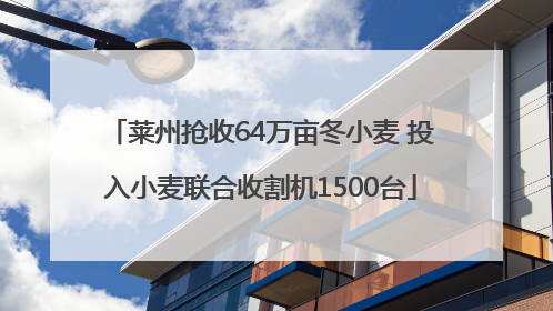 莱州抢收64万亩冬小麦 投入小麦联合收割机1500台