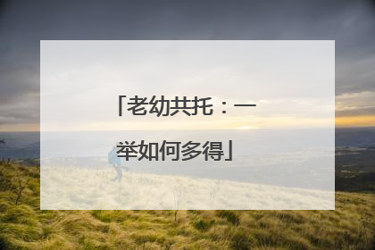 老幼共托：一举如何多得