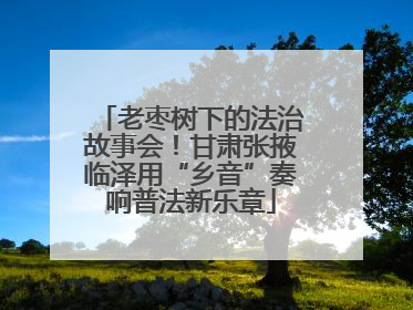 老枣树下的法治故事会！甘肃张掖临泽用“乡音”奏响普法新乐章