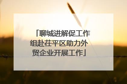聊城进解促工作组赴茌平区助力外贸企业开展工作