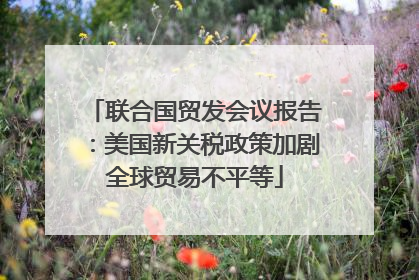 联合国贸发会议报告：美国新关税政策加剧全球贸易不平等