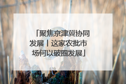 聚焦京津冀协同发展丨这家农批市场何以破圈发展