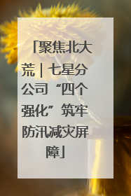 聚焦北大荒｜七星分公司“四个强化”筑牢防汛减灾屏障