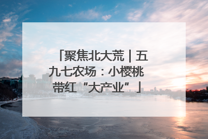 聚焦北大荒｜五九七农场：小樱桃带红“大产业”