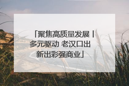 聚焦高质量发展丨多元驱动 老汉口出新出彩强商业