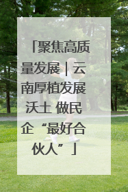 聚焦高质量发展｜云南厚植发展沃土 做民企“最好合伙人”