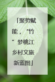 聚势赋能，“竹”梦桃江乡村文旅新蓝图