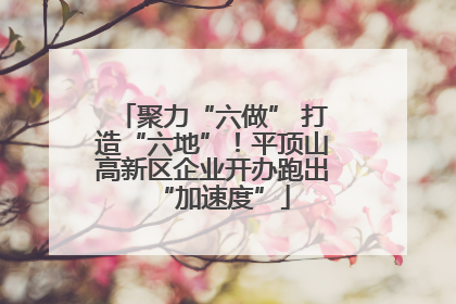 聚力“六做” 打造“六地”！平顶山高新区企业开办跑出“加速度”
