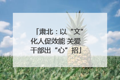 肃北：以“文”化人促效能 关爱干部出“心”招