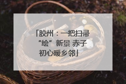 胶州：一把扫帚“绘”新景 赤子初心暖乡邻