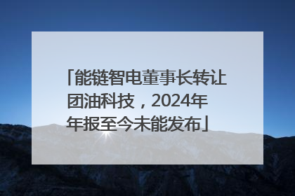 能链智电董事长转让团油科技，2024年年报至今未能发布